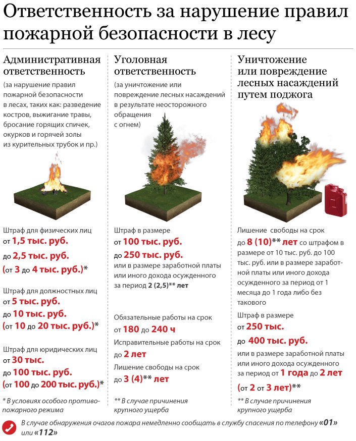 Ответ. пож. в лесу.jpg